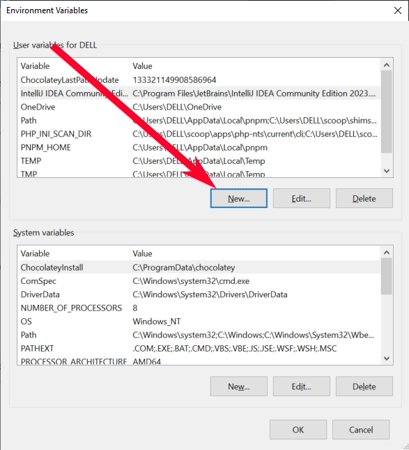 Make a new environment variable.