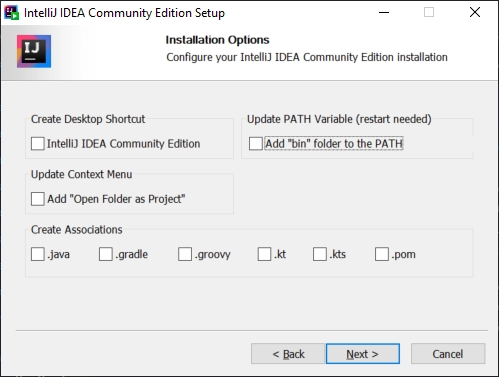 Installation Options. Click next.